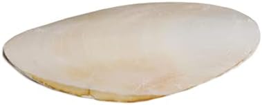 Prevue Pet Products Bpv1143 5-Inch Bird Cuttlebone, Medium - Image 3