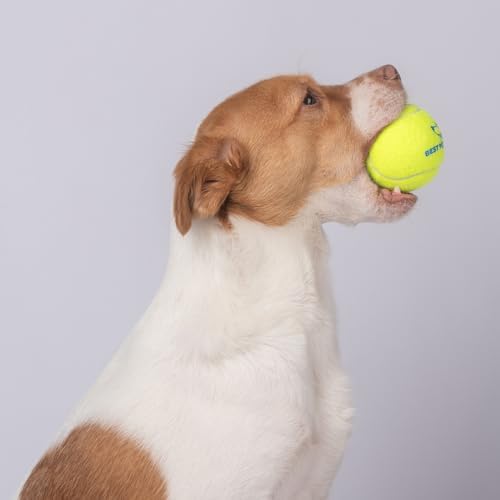 Best Pet Supplies Interactive Squeaky Dog Chew Toy, Ideal Dog Toys for Chewers, Small, Medium & Large Dogs, and Fetch Lovers - Tennis (Yellow), Large (Pack of 4) - Image 7
