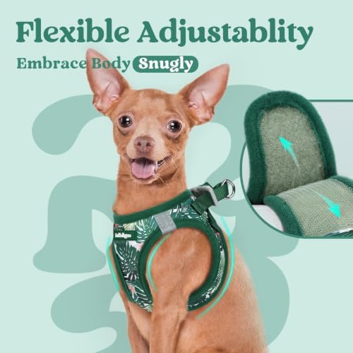 rabbitgoo Step-in Small Dog Harness, Puppy Vest for Small Sized Pet - Image 7