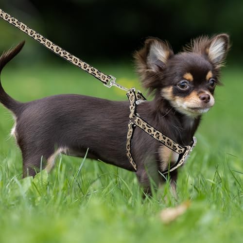 Mile High Life Leopard Dog Harness Collar Leash Set, Adjustable No Pull Dog Halter Harness for Small Breed Dogs, Easy Control for Training Walking (Black, XS Chest 9"-15", Neck 8"-12") - Image 7