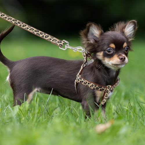 Mile High Life Leopard Dog Harness Collar Leash Set, Adjustable No Pull Dog Halter Harness for Small Breed Dogs, Easy Control for Training Walking (Brown, M Chest 15"-21", Neck 13"-17") - Image 7