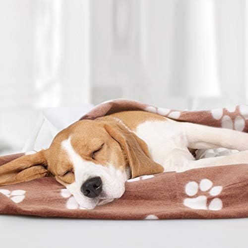 Comsmart Dog Blankets, 6 Pack Fleece Pet Blankets, 39x31 inches, Brown - Image 7