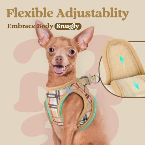 rabbitgoo Step-in Small Dog Harness, Puppy Vest for Small Sized Pet - Image 7