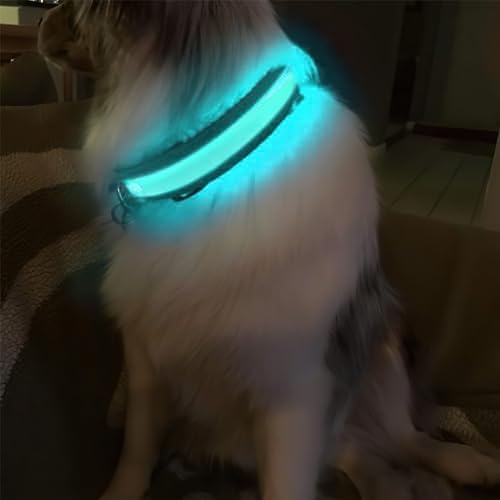 MASBRILL Light Up Dog Collars - LED Dog Collar Rechargeable Lighted Dog Collar Resistant-Water Night Walking Glow Dog Collars - Image 7