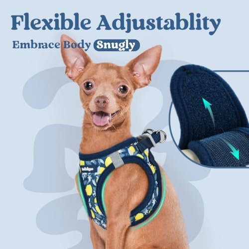 rabbitgoo Step-in Small Dog Harness, Puppy Vest for Small Sized Pet - Image 7