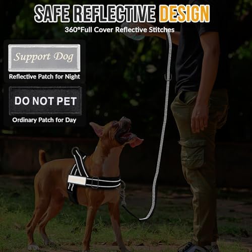 SlowTon No Pull Dog Harness and Leash Set - Heavy Duty, Soft Padded - Image 7