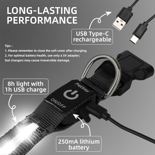 Super Bright LED Dog Collar, Waterproof Light up Collars(White, X-Small) - Image 7