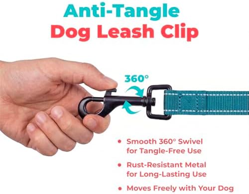 Best Pet Supplies Voyager Nylon Dog Leash - 6ft Turqioise, Large - Image 7