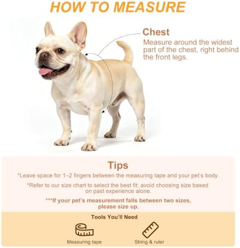 BEAUTYZOO Adjustable No Pull Dog Harness and Leash Set - Image 7