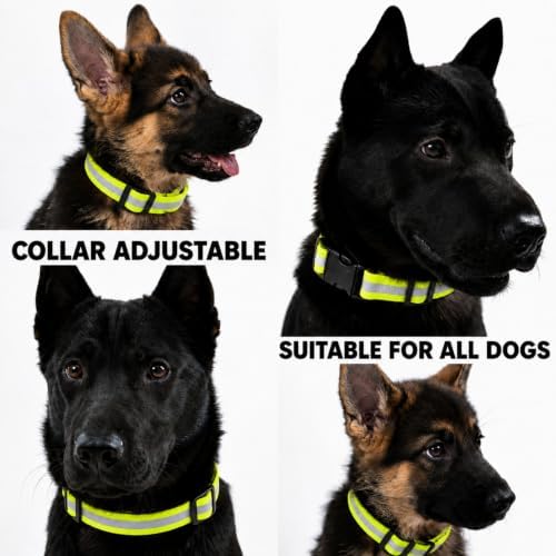 Collar and Leash Set, Adjustable Reflective PVC Dog Collar and Leash Set with Waterproof Dog Leash Comfortable Grip Handle 5ft Leash for Small Medium Large Dogs - Image 7