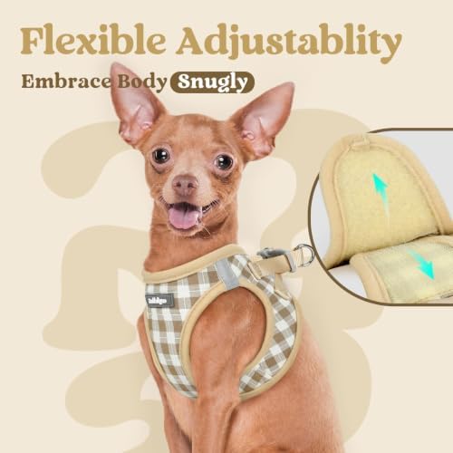 rabbitgoo Step-in Small Dog Harness, Puppy Vest for Small Sized Pet - Image 7