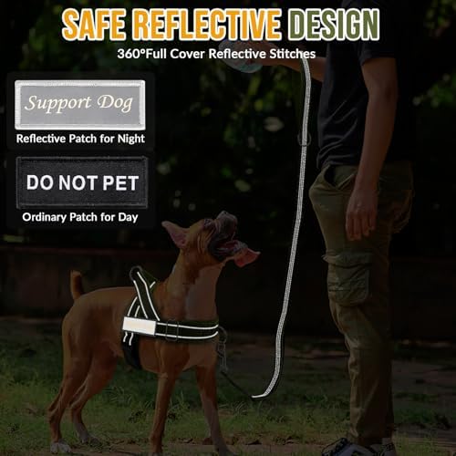 SlowTon No Pull Dog Harness and Leash Set - Heavy Duty, Soft Padded - Image 7