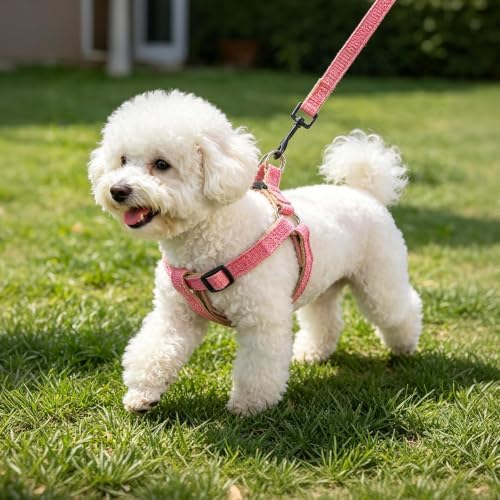 BEAUTYZOO Adjustable No Pull Dog Harness and Leash Set - Image 7