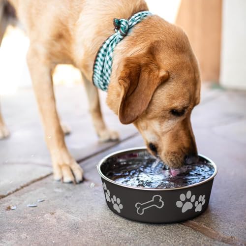 Loving Pets Bella Dog Bowls- Stainless Steel Dog & Cat Bowls - Spill Proof Dog Food Bowl, Cat Bowl, Puppy Essentials & Pet Supplies Great for Home & Travel (Large 35-65 lbs, Espresso) - Image 7