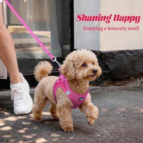 No Pull Dog Puppy Harness and Leash Set Reflective Mesh Vest X-Small - Image 6