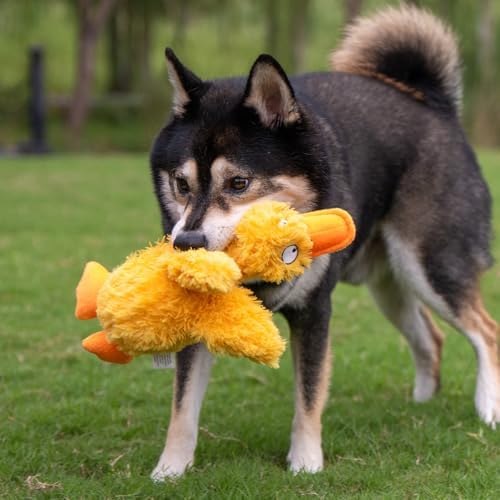 Best Pet Supplies Squeaky Plush Dog Toy - Ducky Doodle, Medium - Image 6