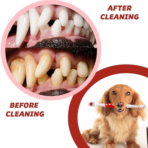 Pet Toothbrush for Dogs, Cats with Soft Bristles - Easy Teeth Cleaning & Dental Care, Non Slip Dual Head Dog Toothbrush for Medium & Large Pets, Toothpaste Not Included, Pack of 4 Multi - Image 7