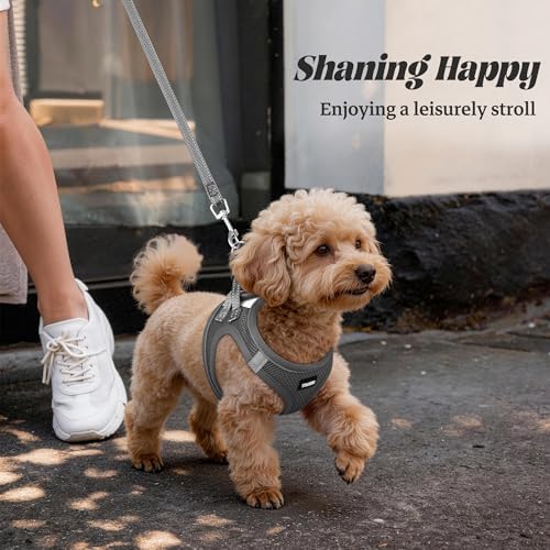 No Pull Dog Puppy Harness and Leash Set Reflective Mesh Vest X-Small - Image 6