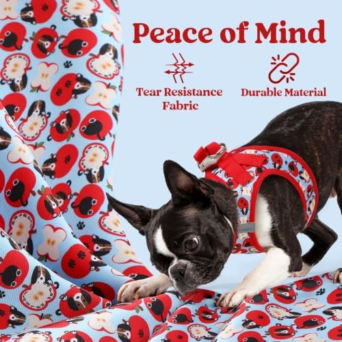 rabbitgoo Step-in Small Dog Harness, Puppy Vest for Small Sized Pet - Image 7
