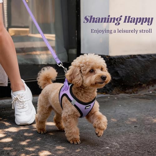 No Pull Dog Puppy Harness and Leash Set Reflective Mesh Vest Small - Image 6
