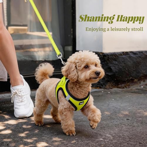 No Pull Dog Puppy Harness and Leash Set Reflective Mesh Vest Medium - Image 6
