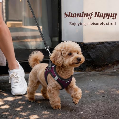 No Pull Dog Puppy Harness and Leash Set Reflective Mesh Vest Large - Image 6
