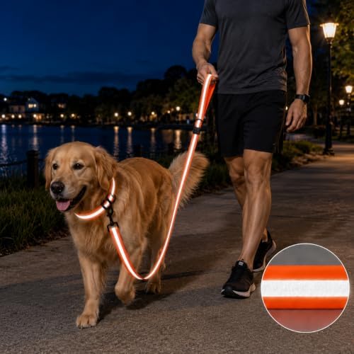 5FT Dog Collar and Leash Set for Small Medium Dogs, Locking Buckle - Image 7