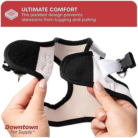 Downtown Pet Supply Step in Dog Harness for Small Dogs No Pull, Medium, Doodle - Adjustable Harness with Padded Mesh Fabric and Reflective Trim - Buckle Strap Harness for Dogs - Image 7