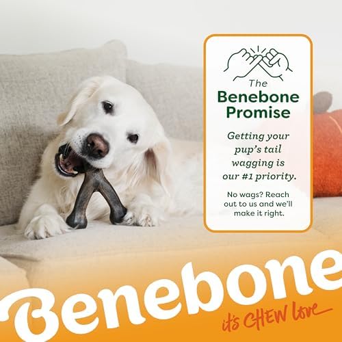Benebone Wishbone Chew Toy for Aggressive Chewers, Pumpkin Spice, Small - Image 7