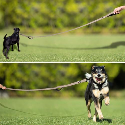 Plutus Pet Double Handle Dog Leash, 4 FT Long, for Medium Large Dogs - Image 7