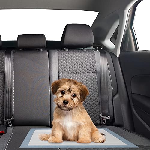 BV Pet Potty Training Pads for Dogs Puppy Pads, Pee Pads, Quick Absorb, 22" x 22" Training Pad, 50 Count Dog Pee Pads, Doggie Pads, Disposable Puppy Pee Pads - Image 7