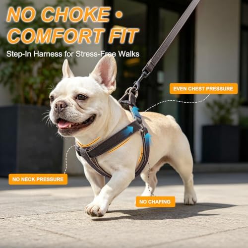 BEAUTYZOO Adjustable No Pull Dog Harness and Leash Set - Image 7