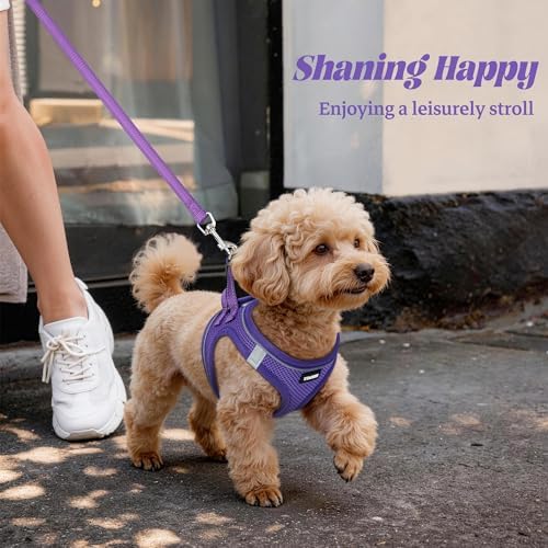 No Pull Dog Puppy Harness and Leash Set Reflective Mesh Vest Small - Image 6