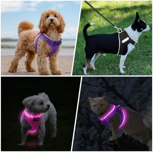 PcEoTllar Light Up Dog Harness, for Night Walking, Adjustable, Purple, S - Image 6