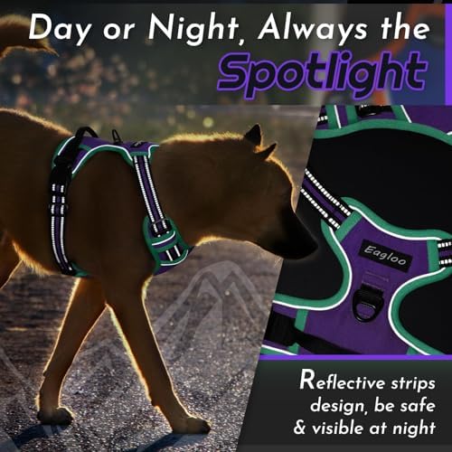 Eagloo Dog Harness for Medium Sized Dogs, No Pull Vest with 2 Leash Clips - Image 7