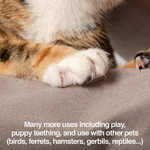 PetFusion Unisex Multi-purpose Pet Glove - Image 7