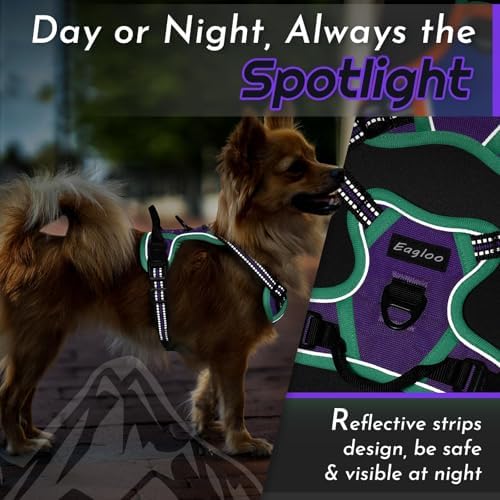 Eagloo Dog Harness for Small Dogs, No Pull Pet Vest with 2 Leash Clips - Image 7