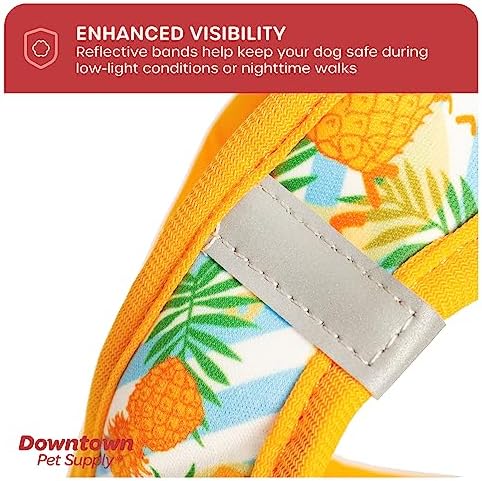 Downtown Pet Supply Step-in Dog Harness – No Pull, Adjustable Padded Mesh with Reflective Trim, Secure Buckle Strap – Comfortable & Breathable Small Dog Harness, XX-Small, Pinneaple - Image 7