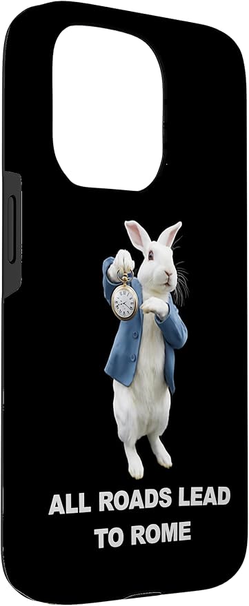 Funny AI Rabbit Meme Tshirt - All Roads Lead to Rome Humor Case for iPhone 15 Pro - Image 3