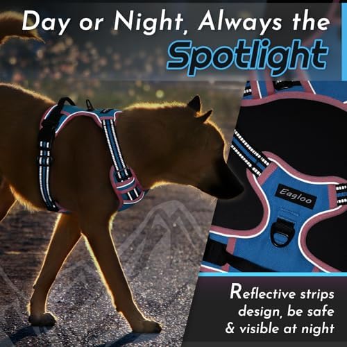 Eagloo Dog Harness for Medium Sized Dogs, No Pull Vest with 2 Leash Clips - Image 7