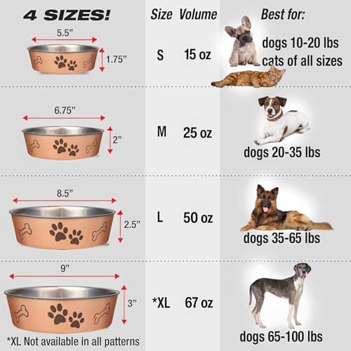 Loving Pets Bella Dog Bowls- Stainless Steel Dog & Cat Bowls - Spill Proof Dog Food Bowl, Cat Bowl, Puppy Essentials & Pet Supplies Great for Home & Travel (Large 35-65 lbs, Champagne) - Image 5