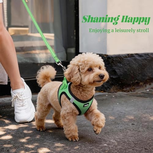 No Pull Dog Puppy Harness and Leash Set Reflective Mesh Vest Small - Image 6
