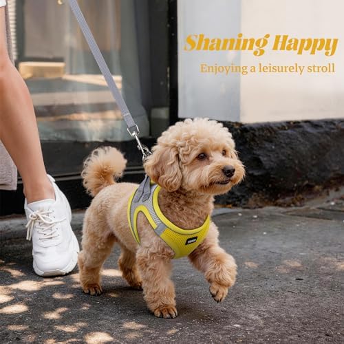 No Pull Dog Puppy Harness and Leash Set Reflective Mesh Vest X-Small - Image 6