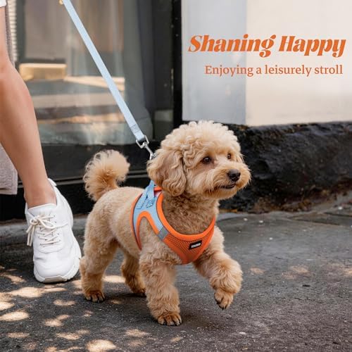 No Pull Dog Puppy Harness and Leash Set Reflective Mesh Vest X-Small - Image 6