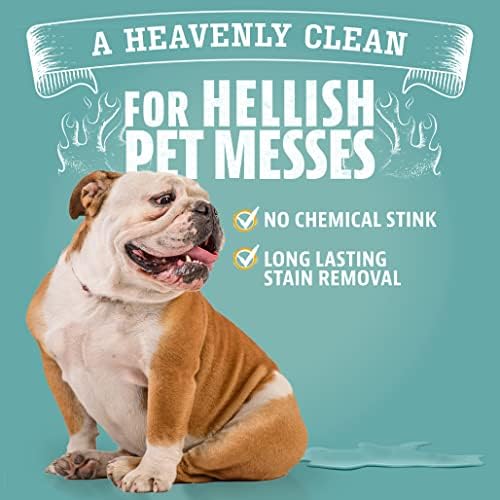 ANGRY ORANGE Pet Stain & Odor Remover for Dog Urine and Stains - Enzyme Pet Odor Eliminator for Home - Citrus - Value 2 pack - Image 7