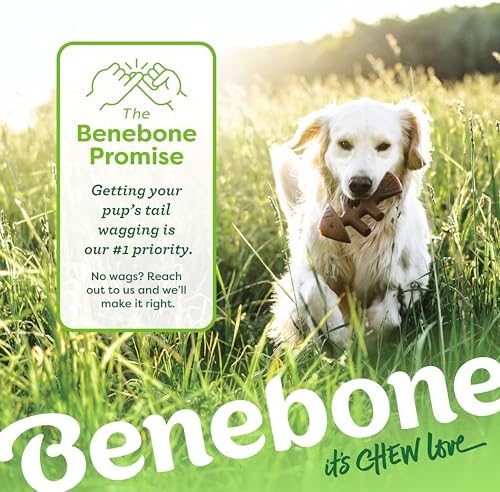 Benebone 2-Count Fishbone/Wishbone Durable Dog Chew Toys, Dog Bones, Medium (Pack of 8) - Image 6