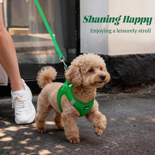 No Pull Dog Puppy Harness and Leash Set Reflective Mesh Vest Small - Image 6