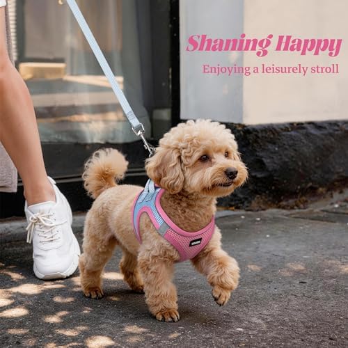 No Pull Dog Puppy Harness and Leash Set Reflective Mesh Vest Medium - Image 6