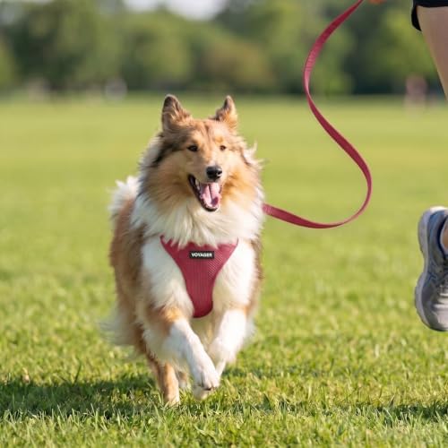Best Pet Supplies Voyager Step-in Air All Weather Mesh Harness and Reflective Dog 5ft Leash Combo with Neoprene Handle, for Small, Medium and Large Breed Puppies - Burgundy, M - Image 7