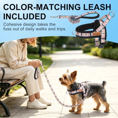 BEAUTYZOO Small Dog Harness and Leash Set, No Pull Step in Puppy Vest - Image 7